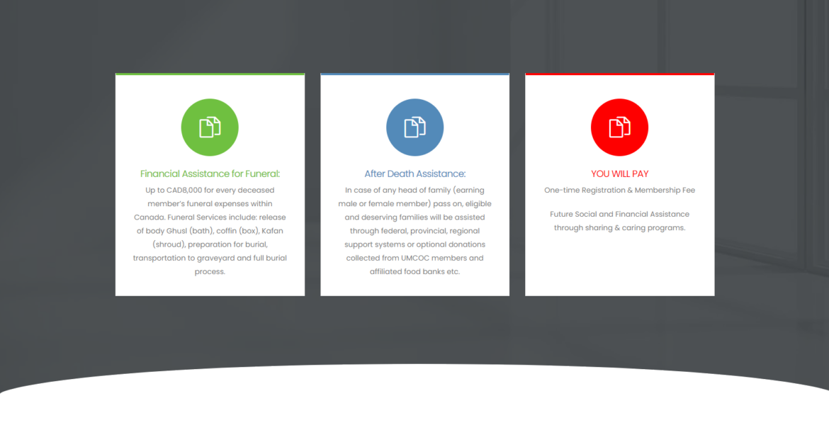 screencapture-demo-softellax-2023-06-19-18_00_37