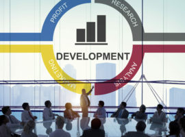 Unleashing the Uniqueness of Our Company Developers